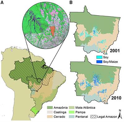 Modeling Nitrous Oxide Emissions From Large-Scale Intensive Cropping Systems in the Southern Amazon